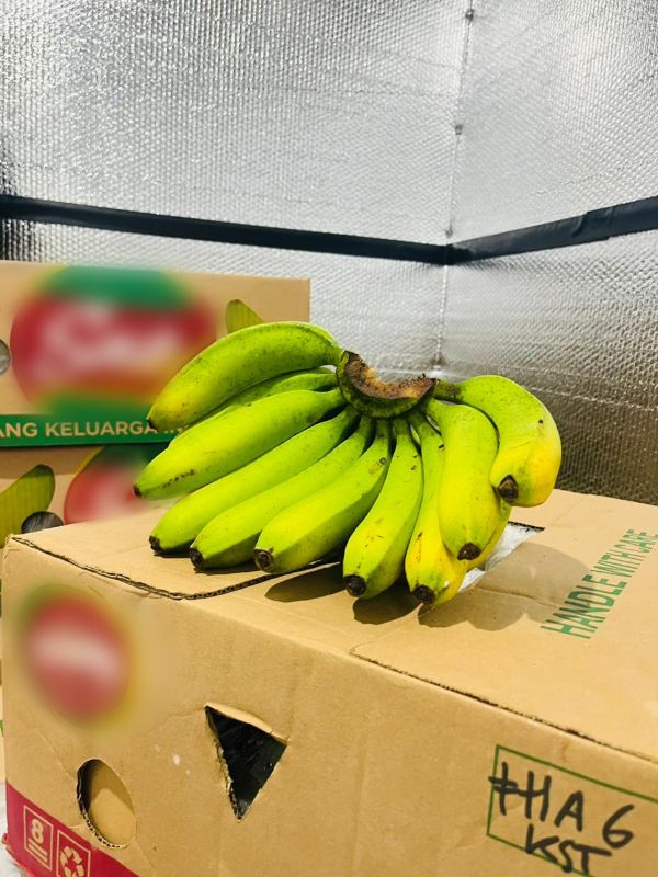 Thumbnail [F42-2] 1452 - Pembiayaan Modal Kerja Trading Pisang Cavendish